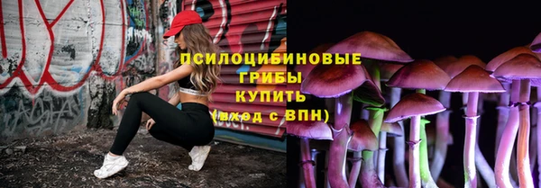 MDMA Premium VHQ Михайловка