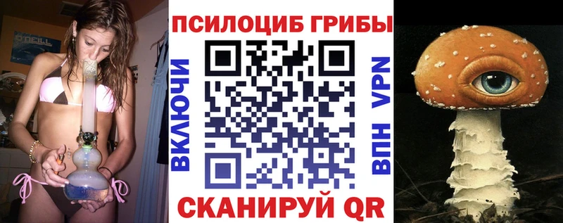 купить   Кущёвская  ссылка на мегу маркетплейс  Галлюциногенные грибы Psilocybe 